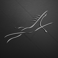 skinners' academies trust