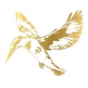 rawlinson partners limited