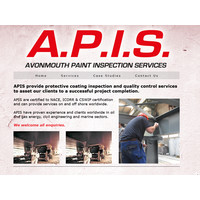 avonmouth paint inspection services limited