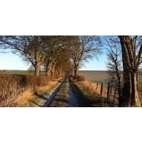 christie private client limited