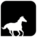 the white horse project