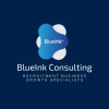 blue ink consulting limited