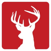 epping industrial coatings limited