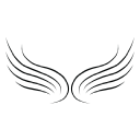 wealth dragons limited