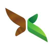 beamish trading limited