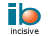 incisive business limited