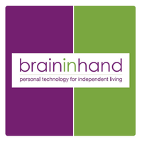 brain-in-hand limited