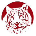 red tiger consultancy ltd