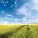 horizon life training