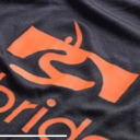 ryebridge limited