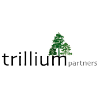 trillium partners limited