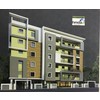 brighton homes limited