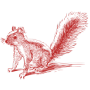 village vets formby limited