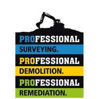 professional remediation limited