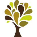 willow windows limited