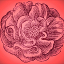 lancashire gardens trust