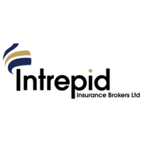 intrepid risk management limited