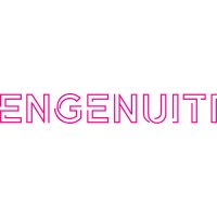 engenuiti limited