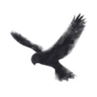 stephenson executive search limited