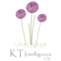 kt intelligence cic