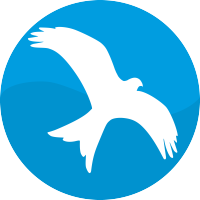 dales consulting limited