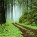 pennyhill timber ltd