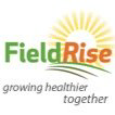 field rise 2009 limited