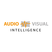 audio visual intelligence limited
