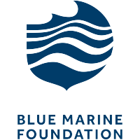blue marine foundation