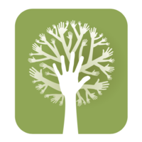 surrey forestry limited