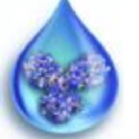 ig innovations limited