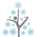 christmas ice rinks limited