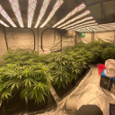 led hydroponic ltd