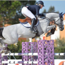 in showjumpers limited