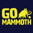 go mammoth limited