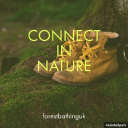 forest bathing uk ltd
