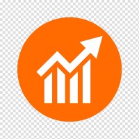 the finance manager limited