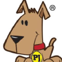 taylor-fox investments limited