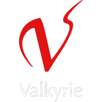 valkyrie (gb) limited