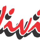 vivid signs limited