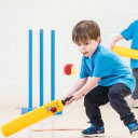 little wickets limited