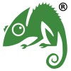 chameleon web services limited