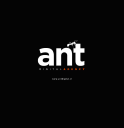 ant digital limited