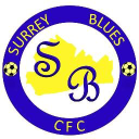 surrey blue limited