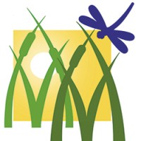 mill meadow (taunton) management co limited