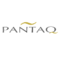 pantaq ltd