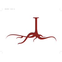 radicle consulting ltd