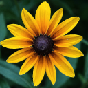 martins farm limited