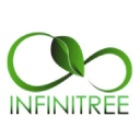 infinitree limited