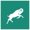 ram capital limited